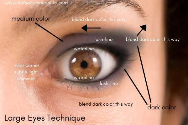 Diagram showing how to apply eyeshadow for large eyes