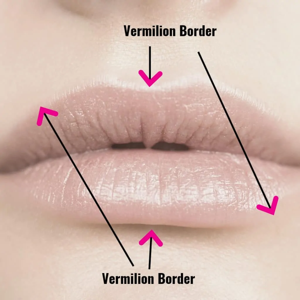 Diagram of woman's lips up close showing where the vermilion border is