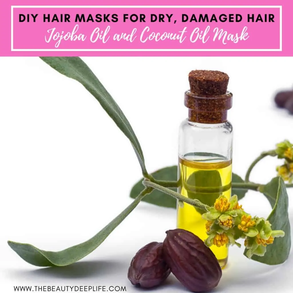 Jojoba Oil and plant with text overlay - DIY hair masks for dry damaged hair