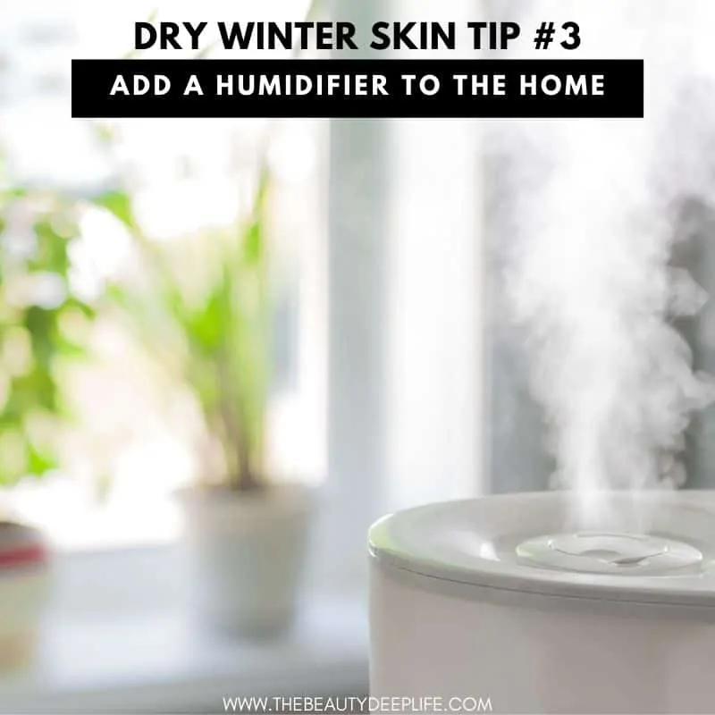 Dry Winter Skin Humidifier