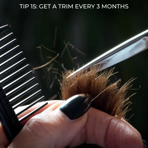 close up of hair being trimmed with scissor and comb with text overlay - tip get a trim every 3 months