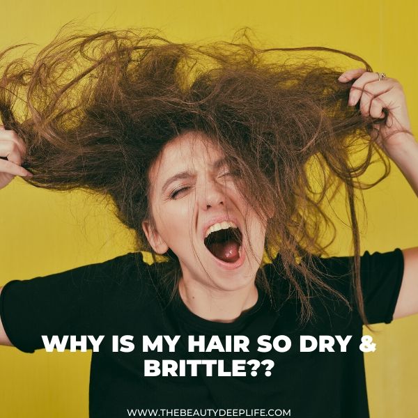 woman with very dry and brittle hair with text overlay why is my hair so dry and brittle