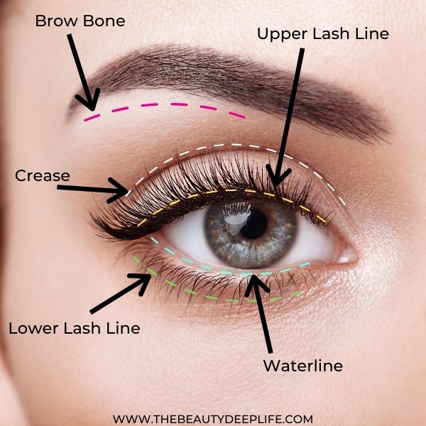 Eye Makeup For Beginners: Step-By-Step Looks You Can Easily Pull Off!!