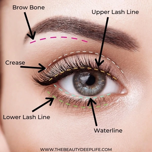 applying eye makeup diagram