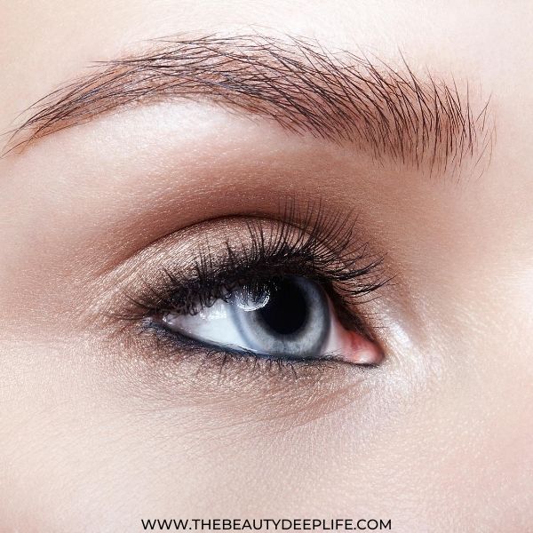 Eye Makeup For Beginners Metallic Eyeshadow With Blue Eyeliner Makeup Look 4