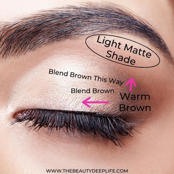 Diagram For Eye Makeup For Beginners Natural Makeup Look 1 Step 5