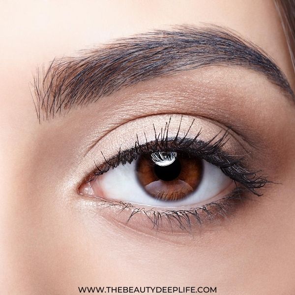 basic eye makeup for brown eyes