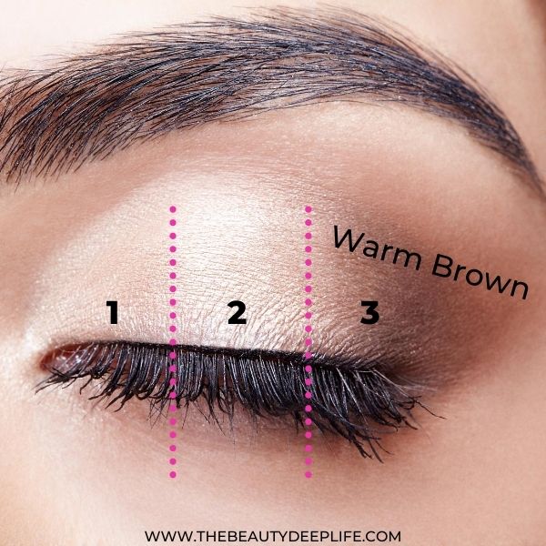 natural eye makeup look for beginners step three