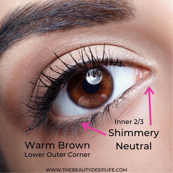 Diagram For Eye Makeup For Beginners Natural Makeup Look 1 Step 7