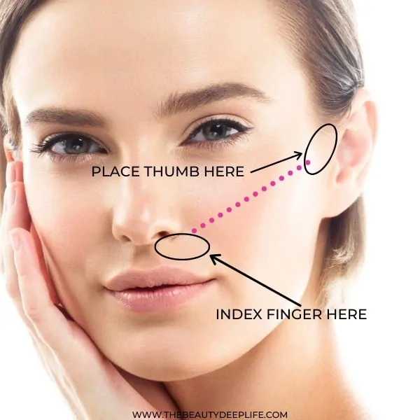 diagram for finding cheekbones