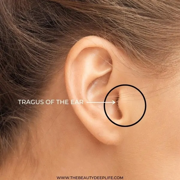 tragus of the ear