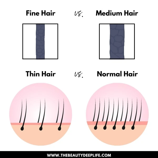 diagram showing fine hair versus medium hair and thin hair verus normal hair