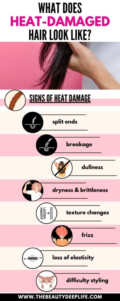 infographic explaining the signs of heat damaged hair