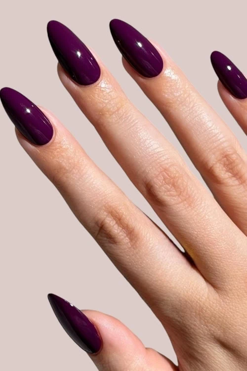 Female hand with plum fall nails
