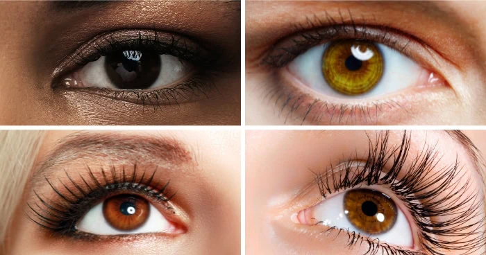 four different brown eyes in different shades