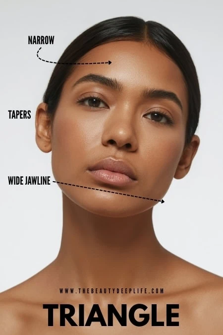 diagram of a triangle face shape and characteristics